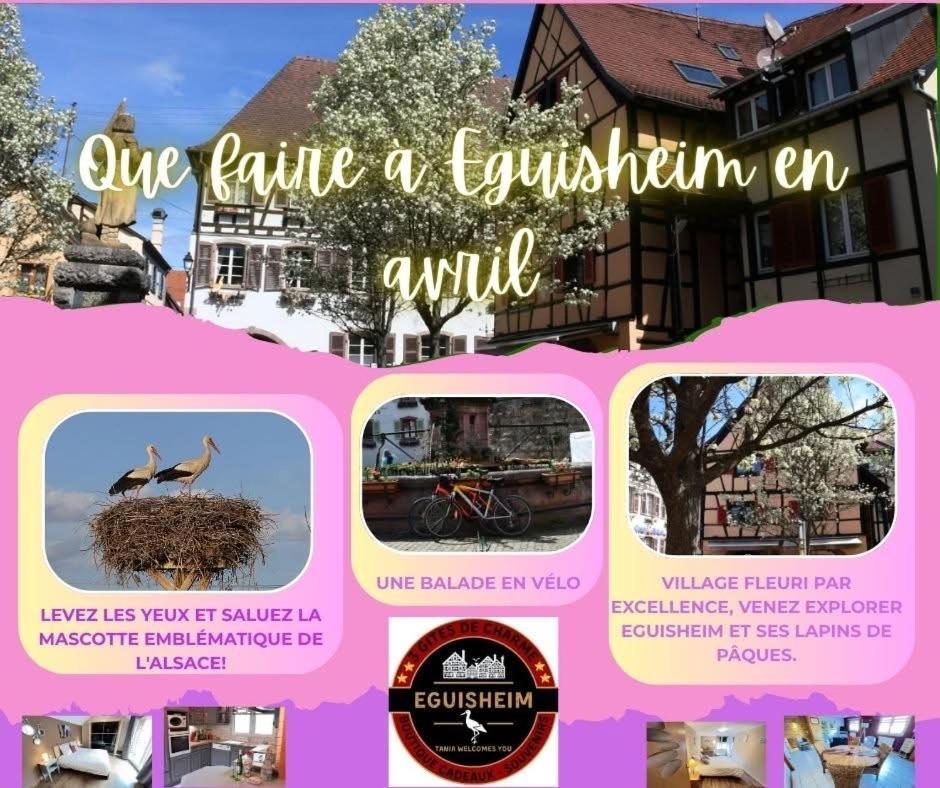 Gite St Leon A Eguisheim Zewnętrze zdjęcie